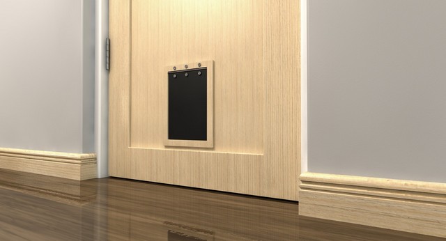 Cat Flap Installation Foots Cray, DA14