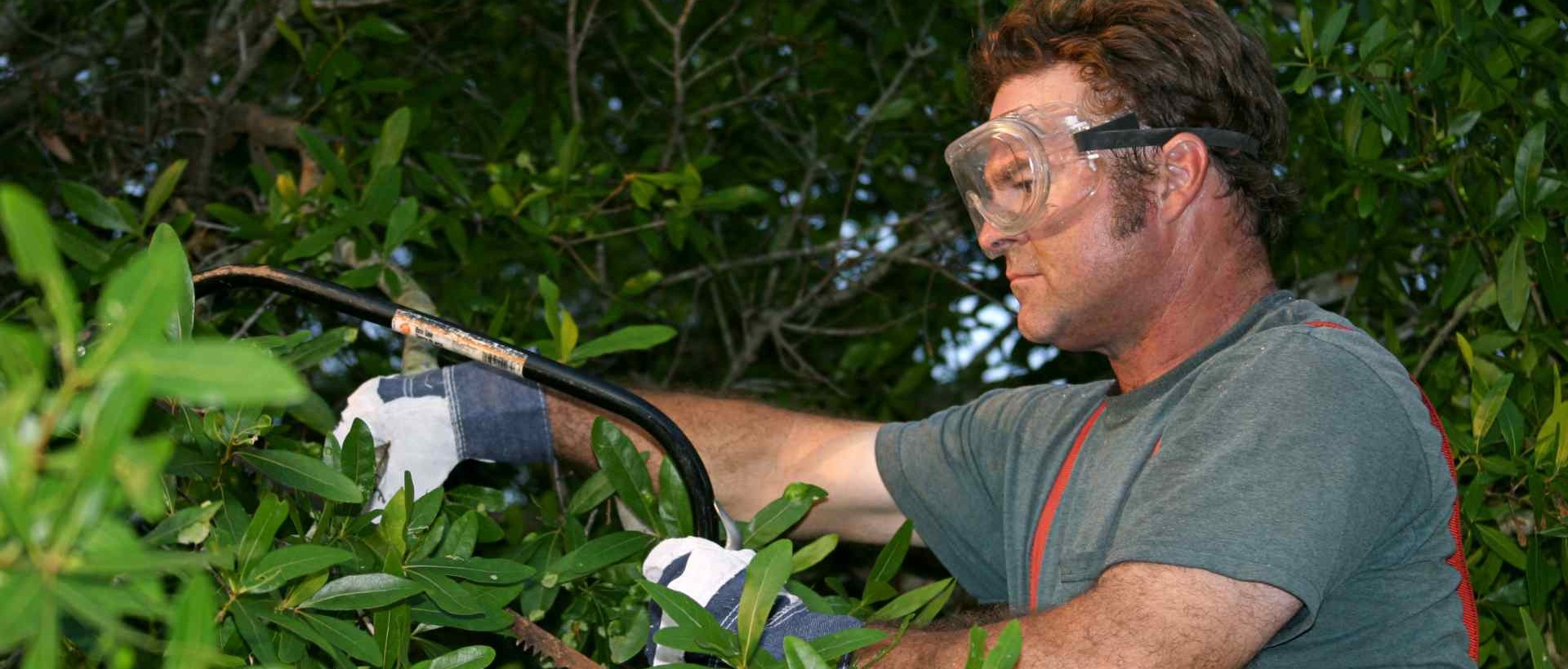 garden clearance DA14