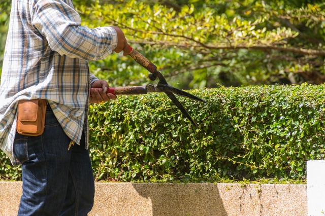 Garden Maintenance Foots Cray, DA14